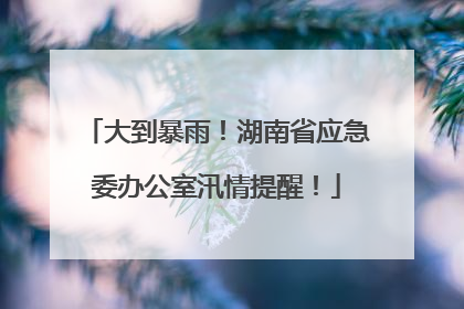 大到暴雨！湖南省应急委办公室汛情提醒！