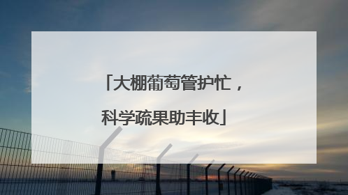 大棚葡萄管护忙，科学疏果助丰收