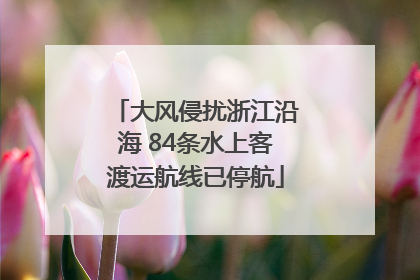 大风侵扰浙江沿海 84条水上客渡运航线已停航
