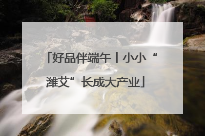 好品伴端午丨小小“潍艾”长成大产业