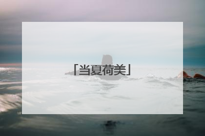 当夏荷美