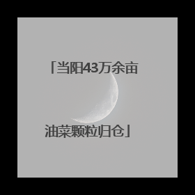 当阳43万余亩油菜颗粒归仓