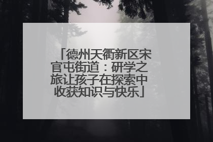 德州天衢新区宋官屯街道：研学之旅让孩子在探索中收获知识与快乐