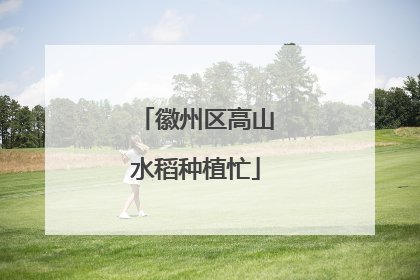 徽州区高山水稻种植忙