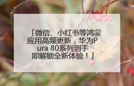 微信、小红书等鸿蒙应用高频更新，华为Pura 80系列到手即解锁全新体验！