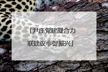 尹庄党建凝合力 联建议事促振兴
