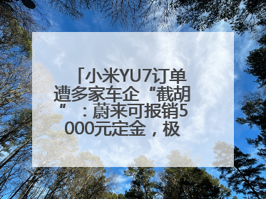 小米YU7订单遭多家车企“截胡”：蔚来可报销5000元定金，极氪送积分；何小鹏下单YU7，喊话雷军早点交付