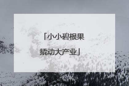 小小碧根果撬动大产业