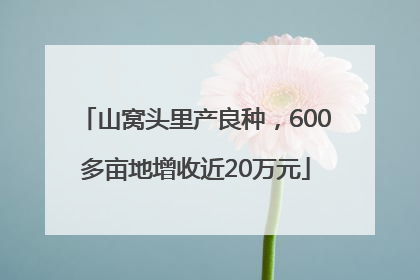 山窝头里产良种，600多亩地增收近20万元