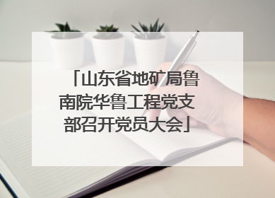 山东省地矿局鲁南院华鲁工程党支部召开党员大会
