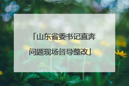 山东省委书记直奔问题现场督导整改