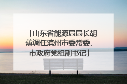 山东省能源局局长胡薄调任滨州市委常委、市政府党组副书记