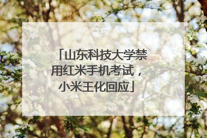 山东科技大学禁用红米手机考试，小米王化回应