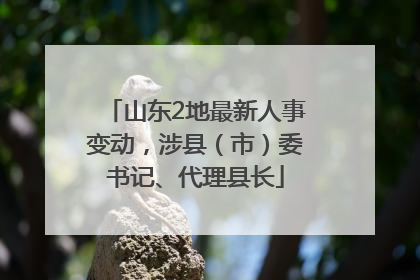 山东2地最新人事变动，涉县（市）委书记、代理县长