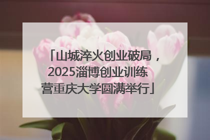 山城淬火创业破局，2025淄博创业训练营重庆大学圆满举行