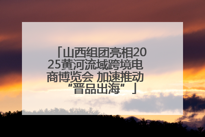 山西组团亮相2025黄河流域跨境电商博览会 加速推动“晋品出海”