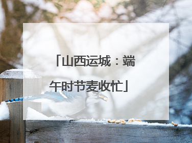 山西运城：端午时节麦收忙