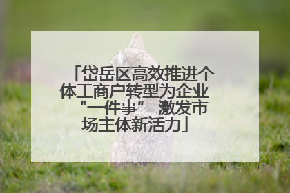 岱岳区高效推进个体工商户转型为企业“一件事” 激发市场主体新活力