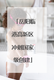 岳阳临港高新区冲刺国家级创建