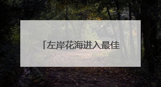 左岸花海进入最佳观赏期 邀市民共赏夏日繁花盛景