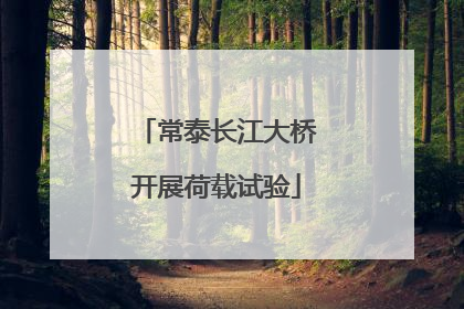 常泰长江大桥开展荷载试验