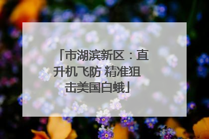 市湖滨新区：直升机飞防 精准狙击美国白蛾