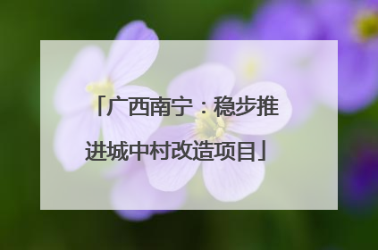 广西南宁：稳步推进城中村改造项目