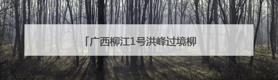 广西柳江1号洪峰过境柳州 辖区船舶已全部停航