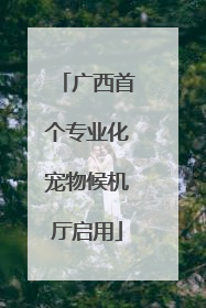 广西首个专业化宠物候机厅启用