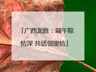 广西龙胜：端午粽情深 共话邻里情