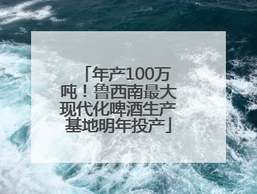 年产100万吨！鲁西南最大现代化啤酒生产基地明年投产