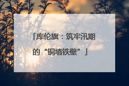 库伦旗：筑牢汛期的“铜墙铁壁”