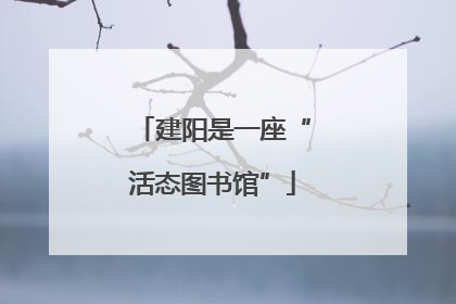 建阳是一座“活态图书馆”