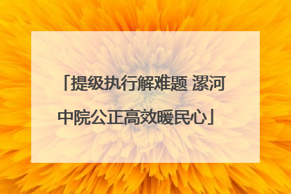 提级执行解难题 漯河中院公正高效暖民心