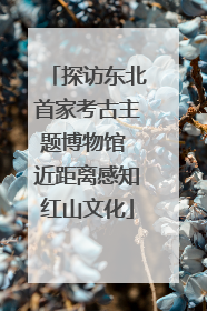 探访东北首家考古主题博物馆 近距离感知红山文化