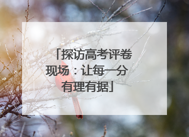 探访高考评卷现场：让每一分有理有据