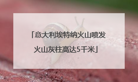 意大利埃特纳火山喷发 火山灰柱高达5千米
