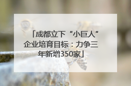 成都立下“小巨人”企业培育目标：力争三年新增350家