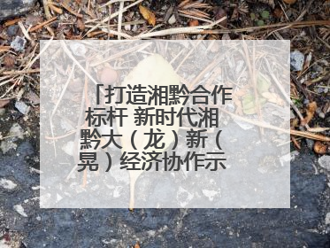 打造湘黔合作标杆 新时代湘黔大（龙）新（晃）经济协作示范园建设签约