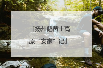 扬州鹅黄土高原“安家”记