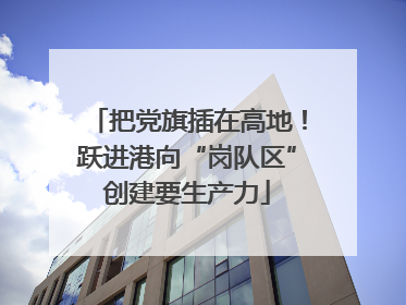 把党旗插在高地！跃进港向“岗队区”创建要生产力