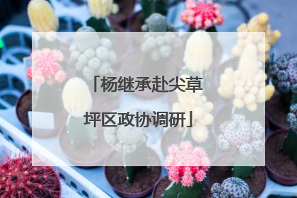 杨继承赴尖草坪区政协调研