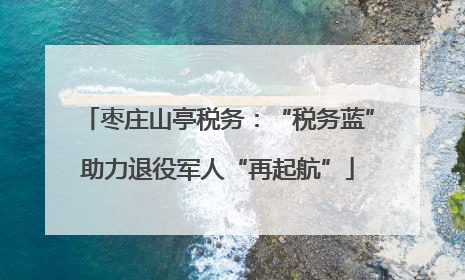 枣庄山亭税务：“税务蓝”助力退役军人“再起航”