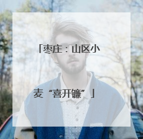 枣庄：山区小麦“喜开镰”