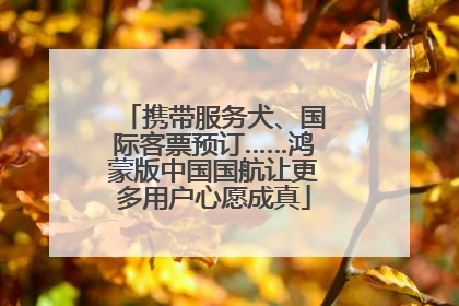 携带服务犬、国际客票预订……鸿蒙版中国国航让更多用户心愿成真