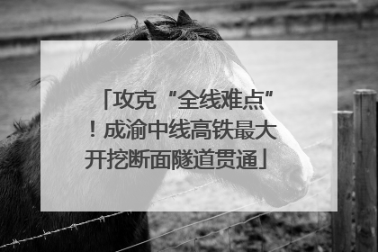 攻克“全线难点”！成渝中线高铁最大开挖断面隧道贯通