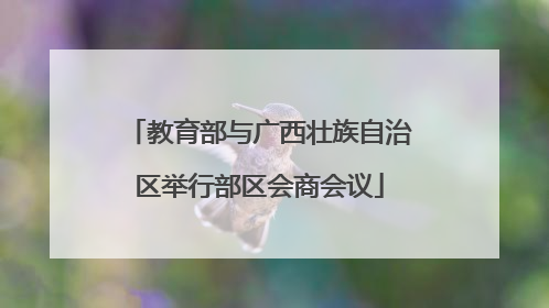 教育部与广西壮族自治区举行部区会商会议