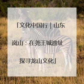 文化中国行｜山东岚山：在尧王城遗址探寻龙山文化