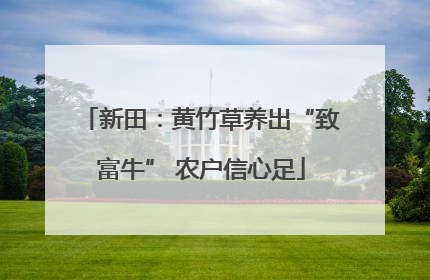 新田：黄竹草养出“致富牛” 农户信心足
