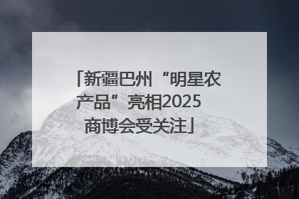 新疆巴州“明星农产品”亮相2025商博会受关注